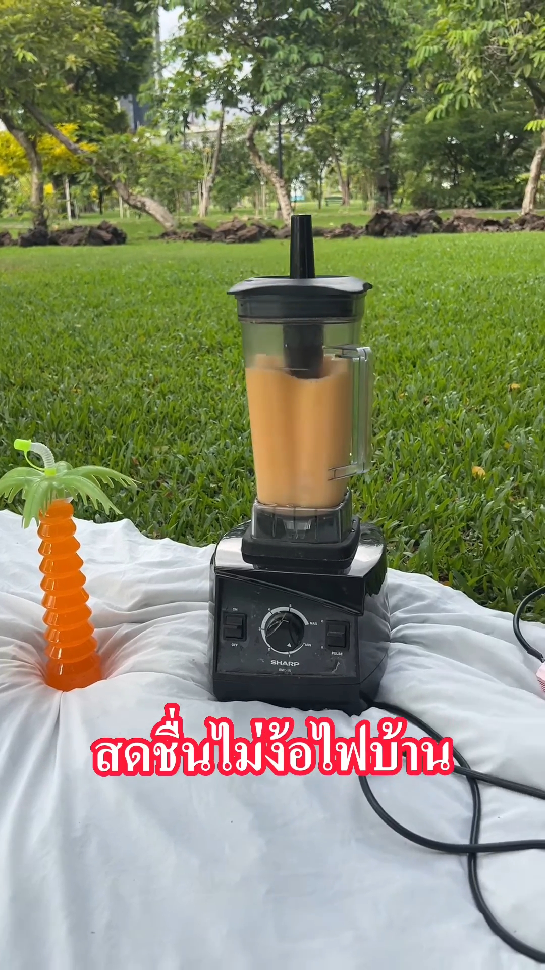 อินเวอร์เตอร์ แปลงไฟ 12V เป็น 220V ขนาด 3,000 วัตต์ ยี่ห้อ WE POWER MAX