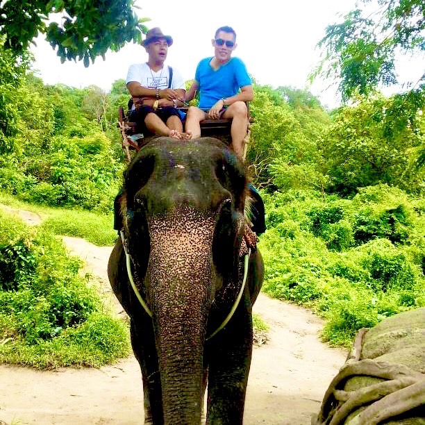 Elephant Trekking 30 mins