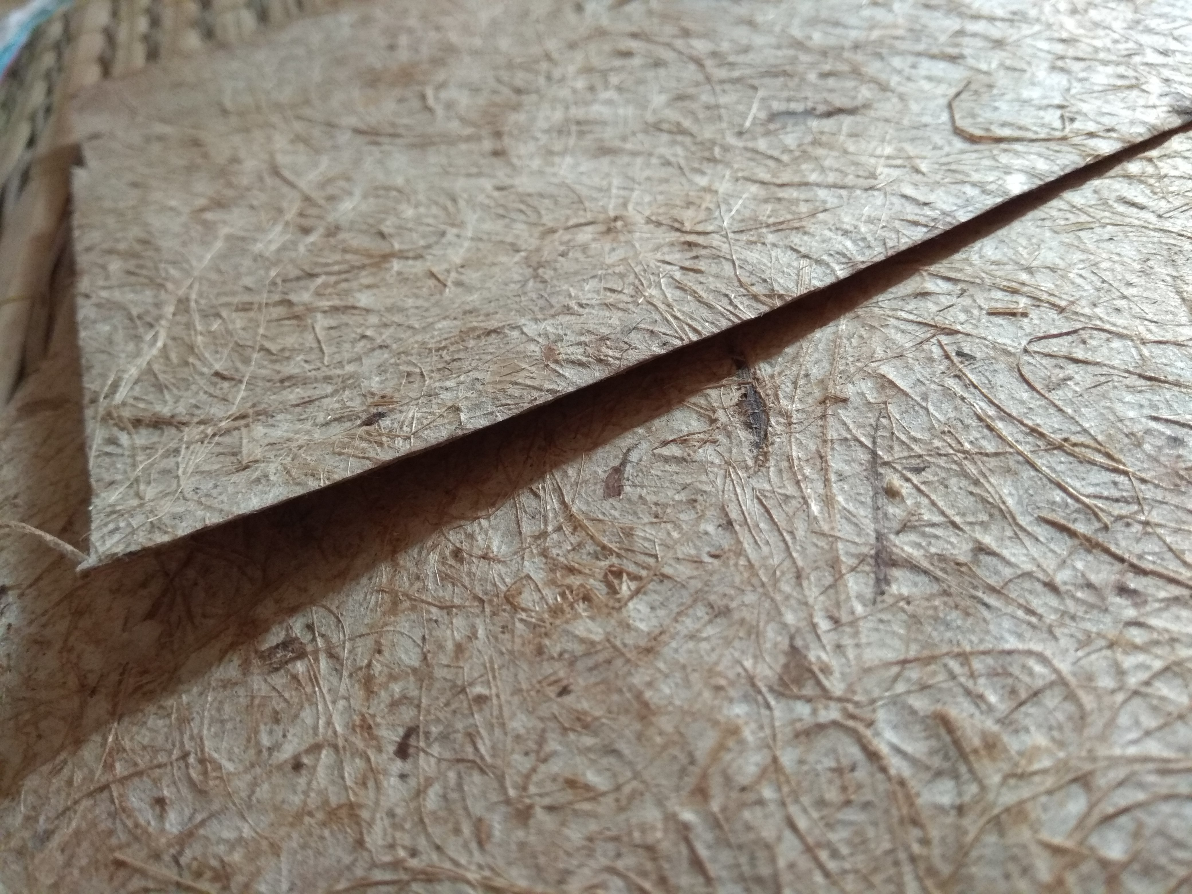 กระดาษใยกล้วย แก่ เส้นใยจะนูนๆกว่ากล้วยเหลือง สำเนา