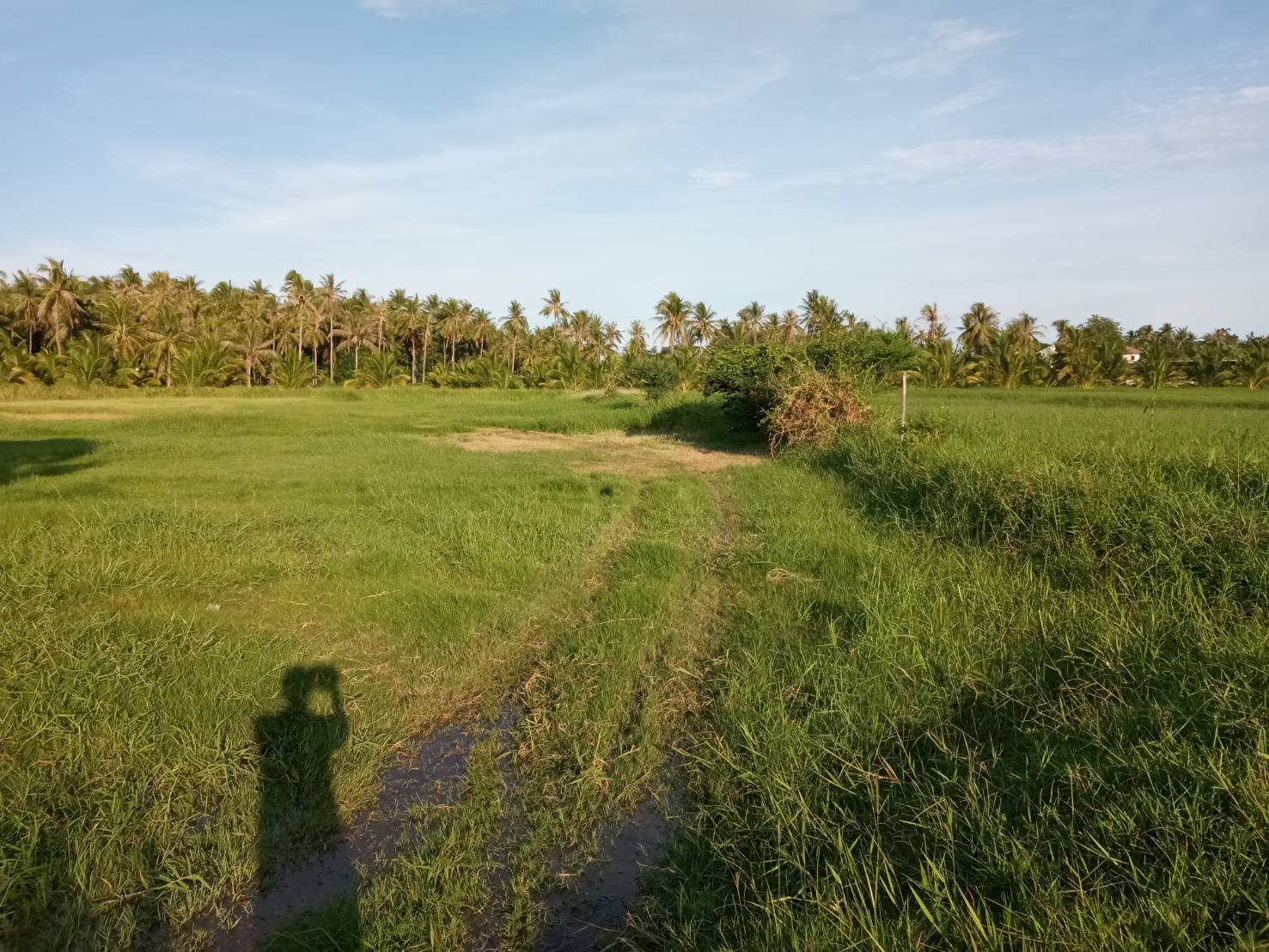 ขายที่ดิน ใกล้เเหล่งชุมชน ที่ดินตั้งอยู่ในเขตเทศบาลกุยบุรี จ.ประจวบ ฯ