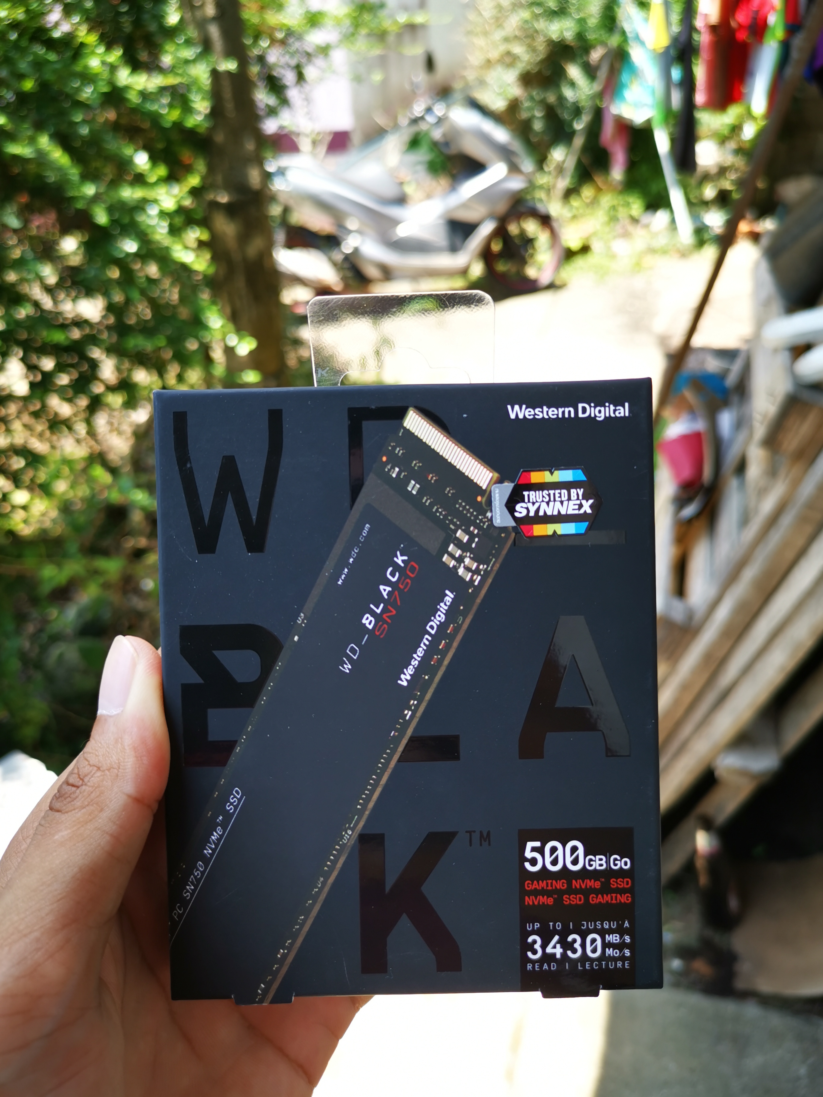 SSD M.2 NVMe WD Black SN750 500 GB