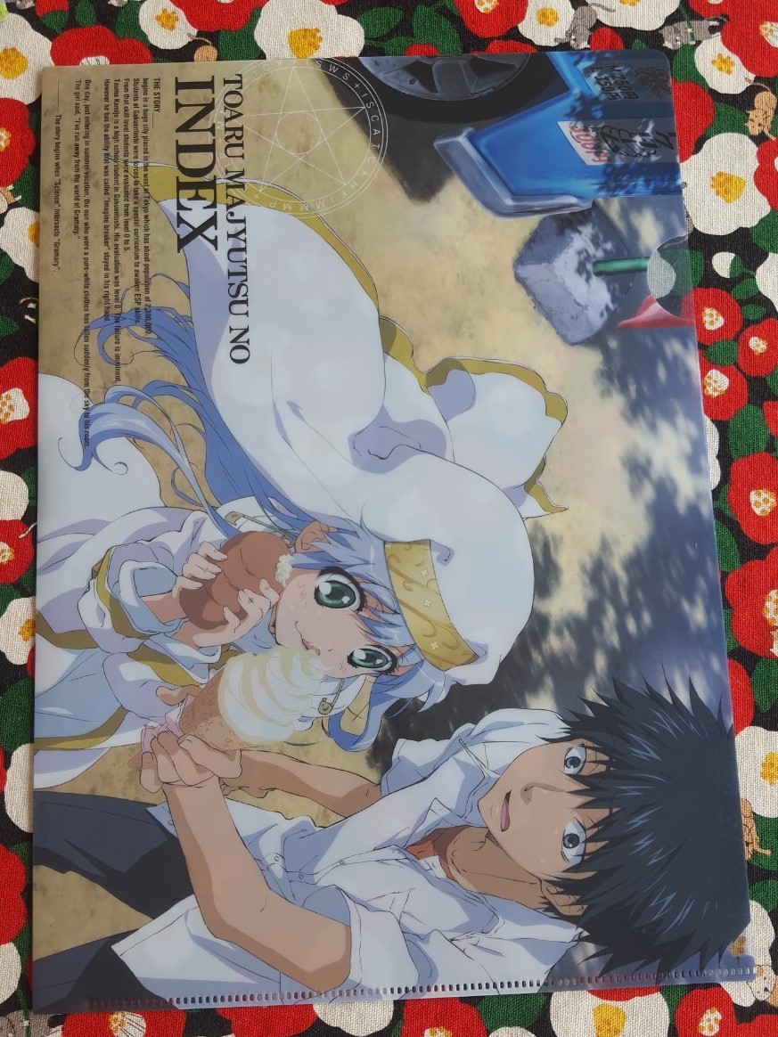Toaru majyutsu no INDEX แฟ้ม A4 แบบสอด จากญี่ปุ่น