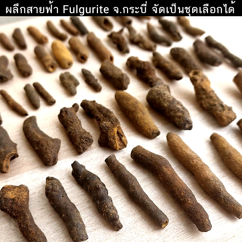 ผลึกสายฟ้า Fulgurite จ.กระบี่ จัดเป็นชุดเลือกได้