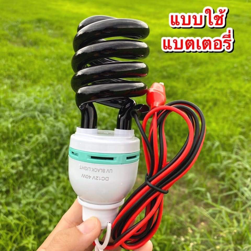 หลอดไฟแบล็คไลท์ 12V ดักล่อแมลงกลางคืนทุกชนิด