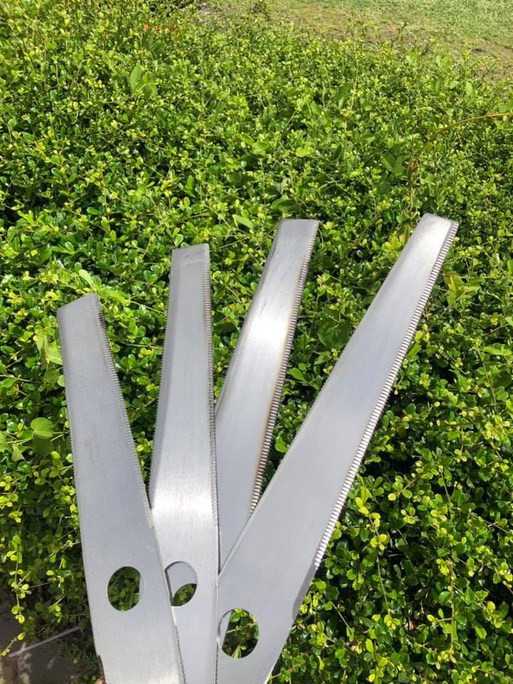 ใบตัดข้าว