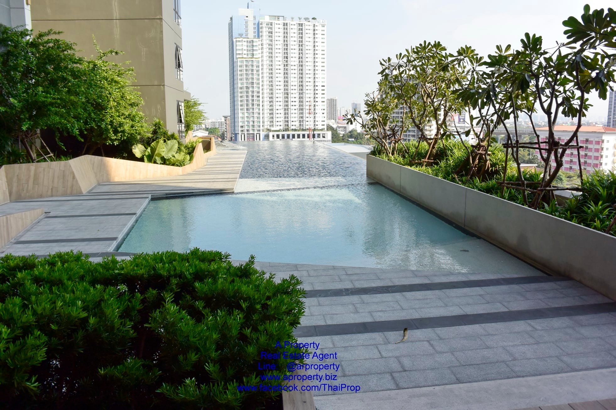 เดอะ โพลิแทน รีฟ