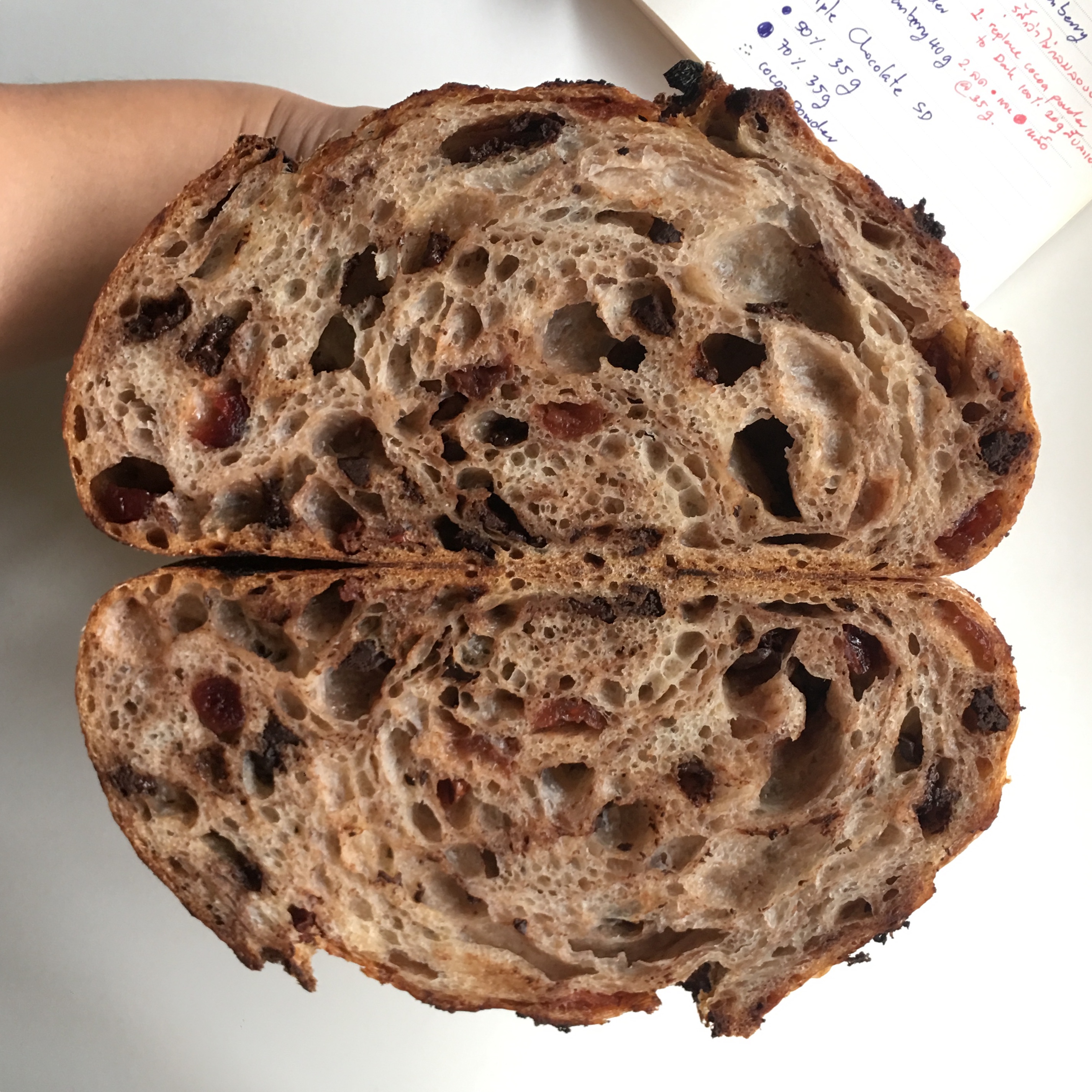 Ⓥ Bitter-Bitter Triple Chocolate Cranberry Sourdough