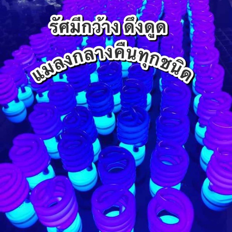 หลอดไฟ ล่อแมลง ต่อกับไฟบ้าน 220V BLACKLIGHT UVA