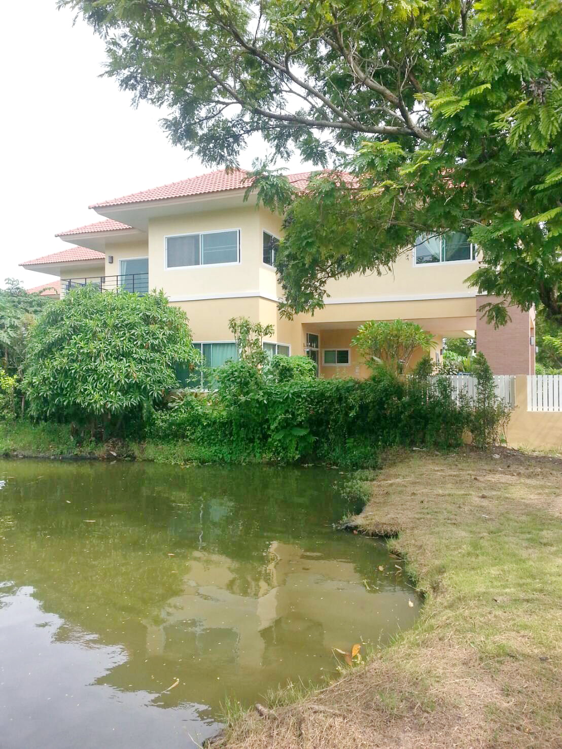 Windmill summit Lakeside , Bangna Km10