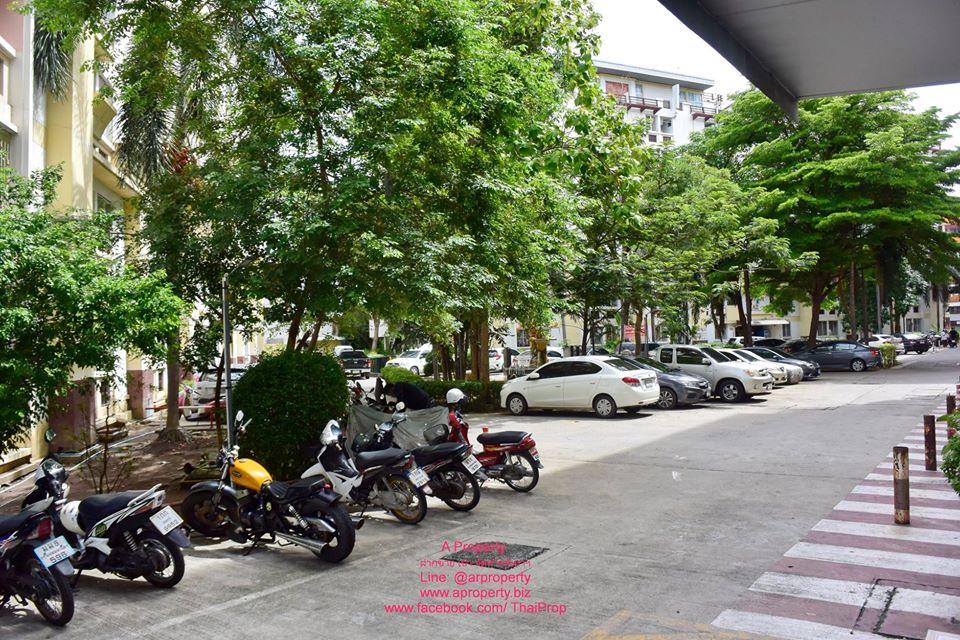 ให้เช่า เดอะสแควร์ บางใหญ่ ติดถนนใหญ่ใกล้รถไฟฟ้า