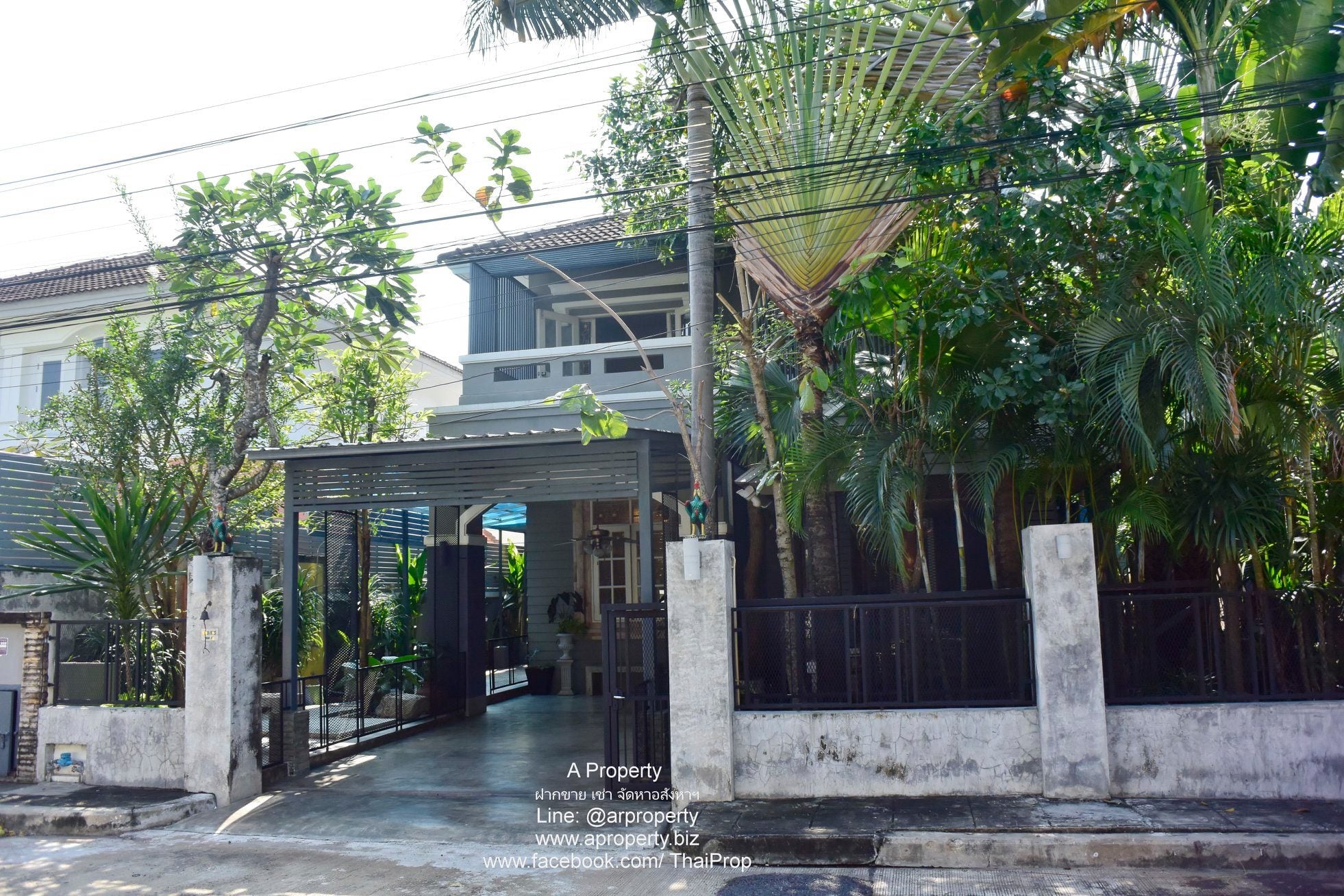 ให้เช่า บ้านเดี่ยวเพอร์เฟคเพลส ไทรม้า ( บางรักน้อย 16/3 )
