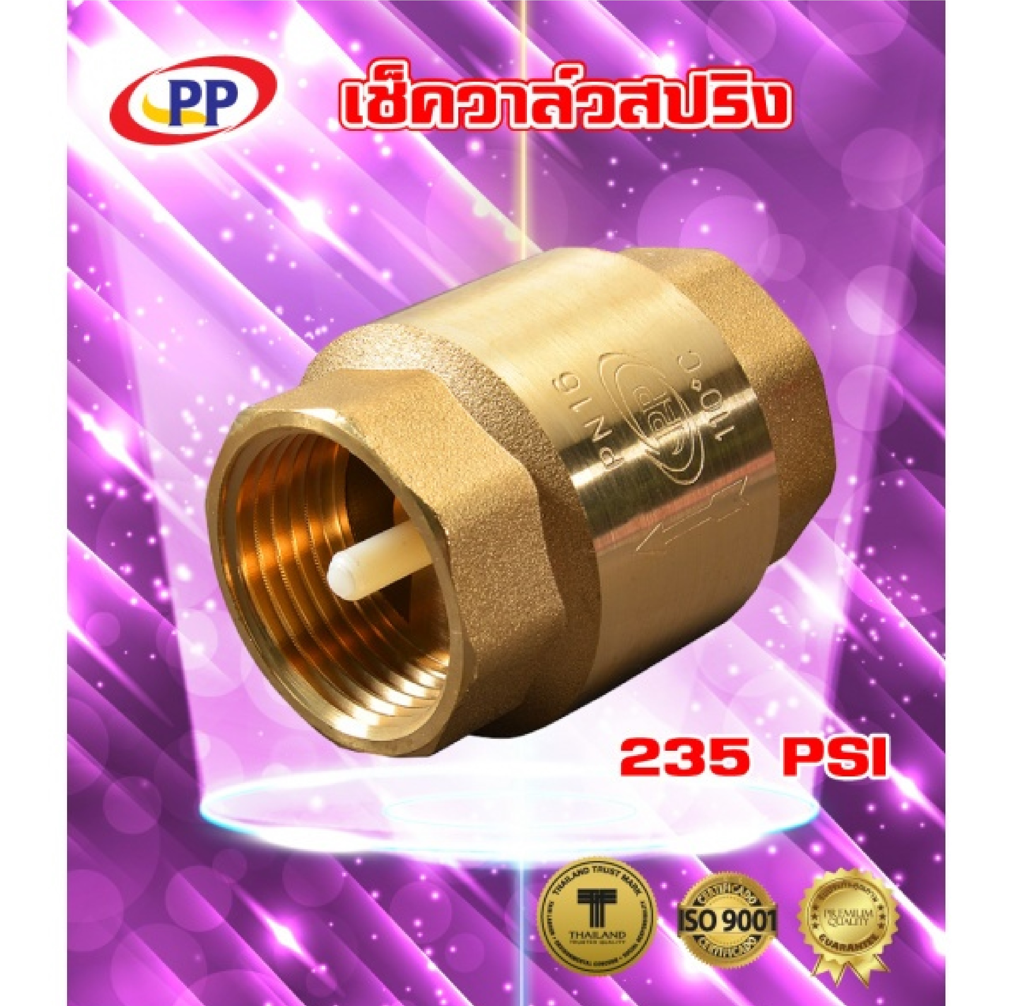 PP เช็ควาล์วสปริงทองเหลือง 2