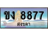 ทะเบียนรถสงขลา – 8877 ประมูล ทะเบียนสวย – ขง 8877 จากกรมขนส่ง