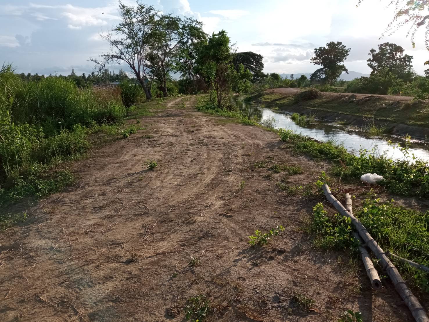 ขายที่ดิน ใกล้เเหล่งชุมชน ที่ดินตั้งอยู่ในเขตเทศบาลกุยบุรี จ.ประจวบ ฯ