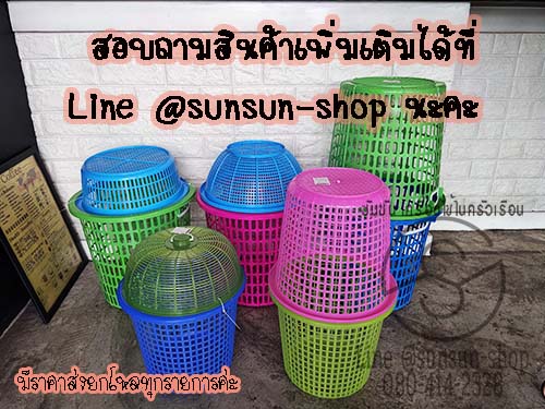 ตะกร้าใส่ต้นไม้