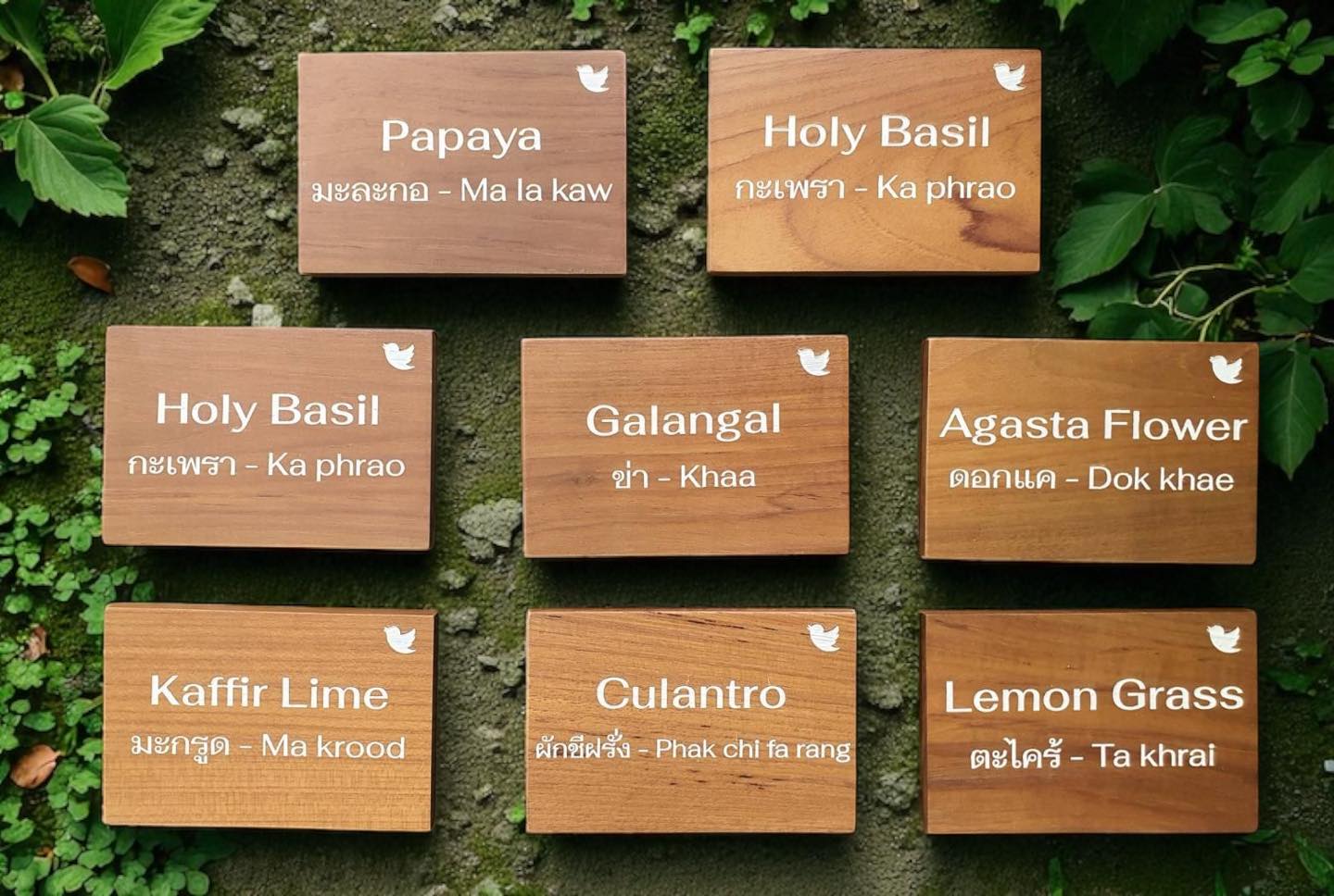 ป้ายชื่อต้นไม้ ป้ายปักชื่อต้นไม้