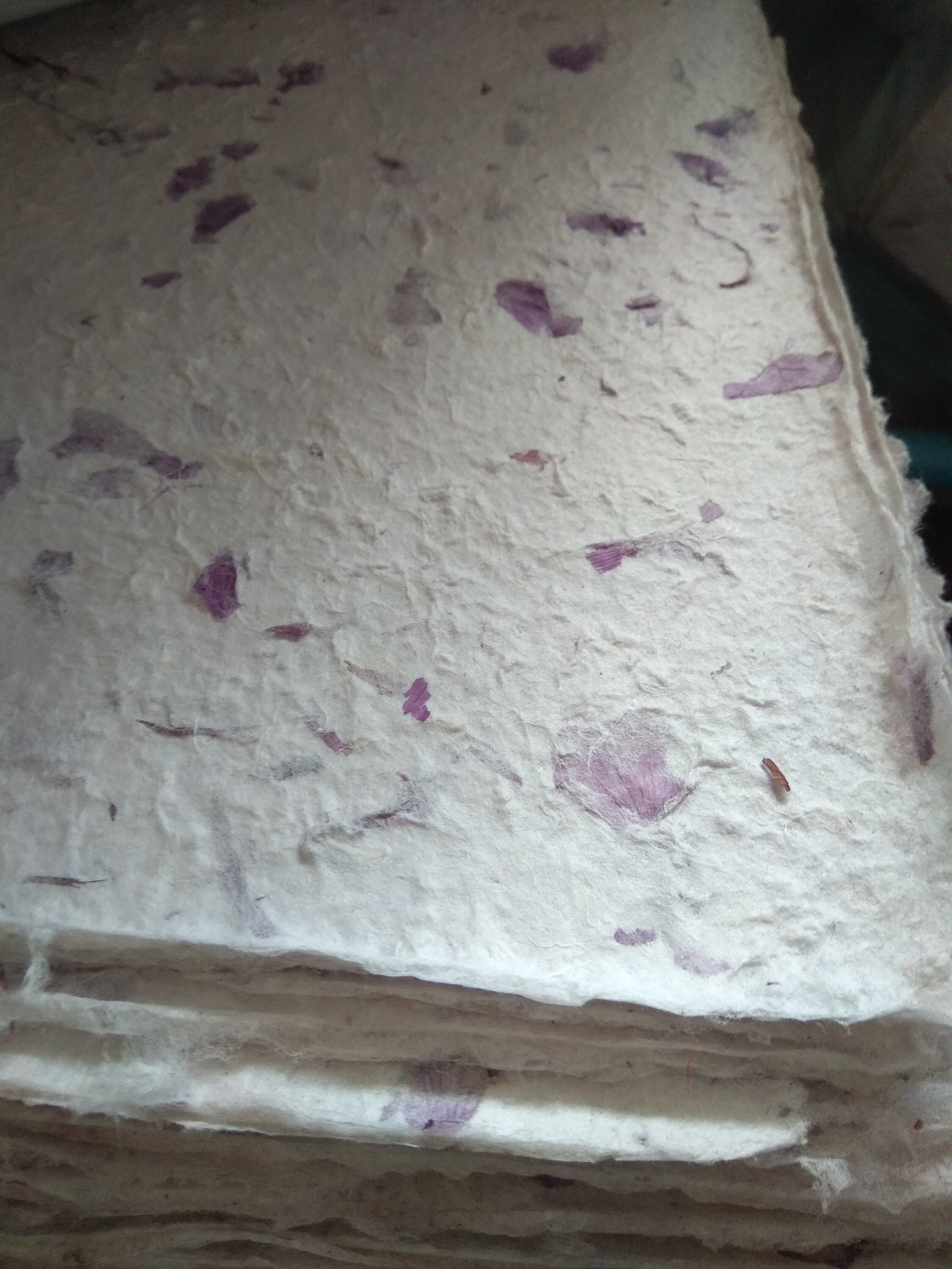 กระดาษสา ใส่เปลือกรกะเทียมสี ม่วง