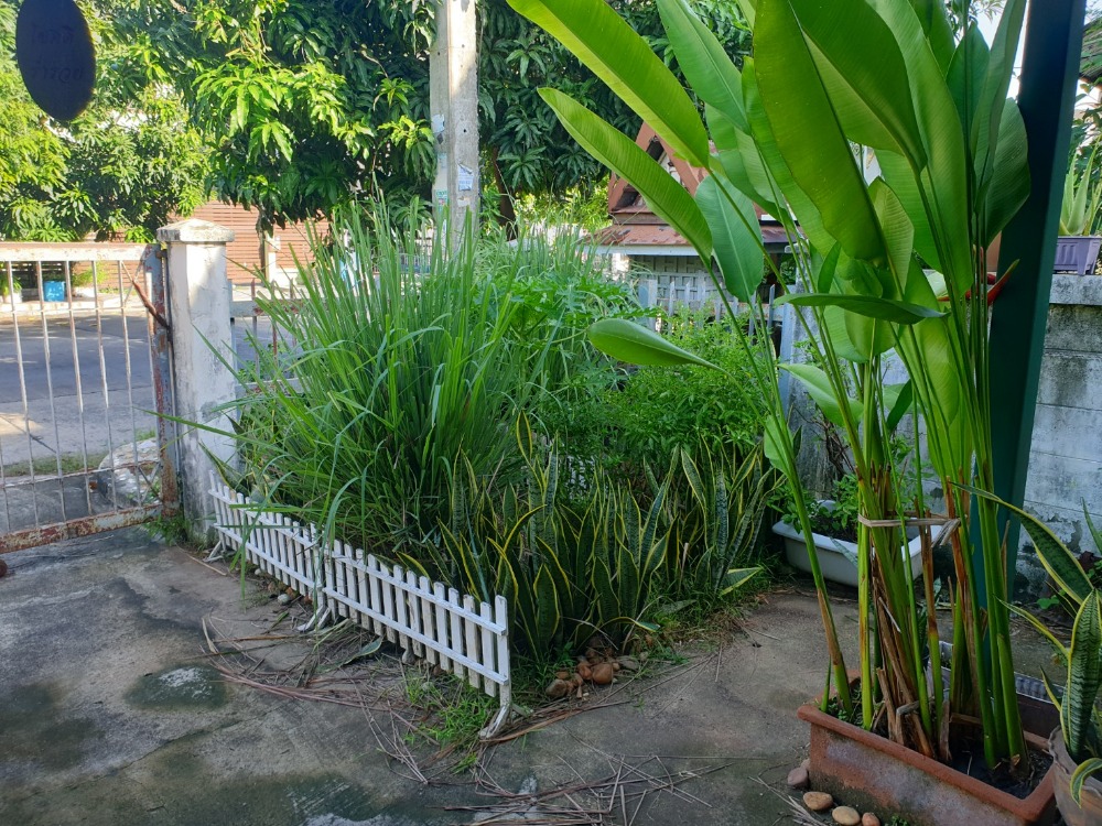 ขาย บ้านเดี่ยว รังสิต – นครนายก