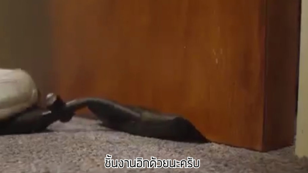 AIRWEDGE ถุงลมยกของ สูงสุด 150 kg