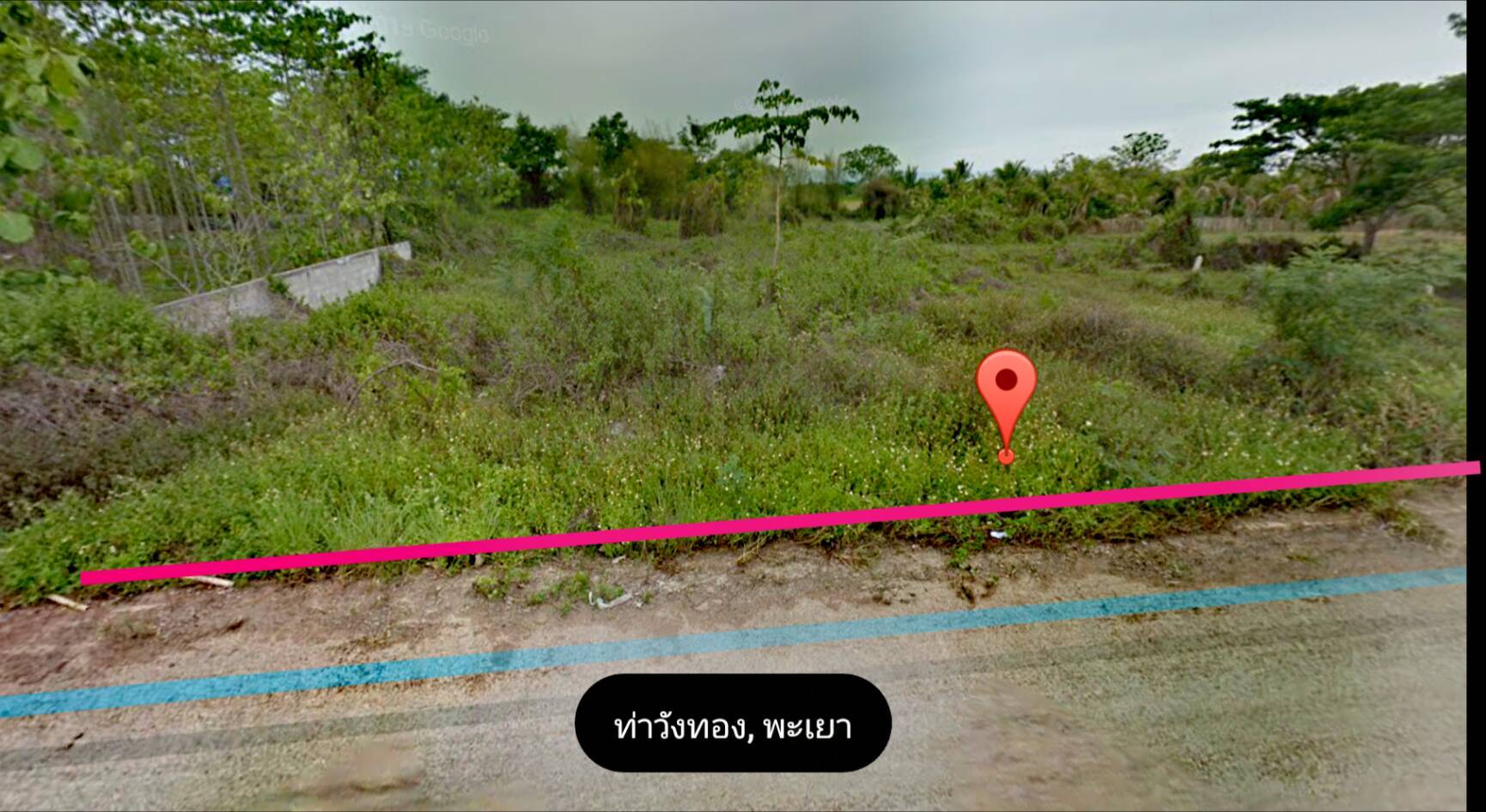 ขายที่ดิน วังทอง เมืองพะเยา