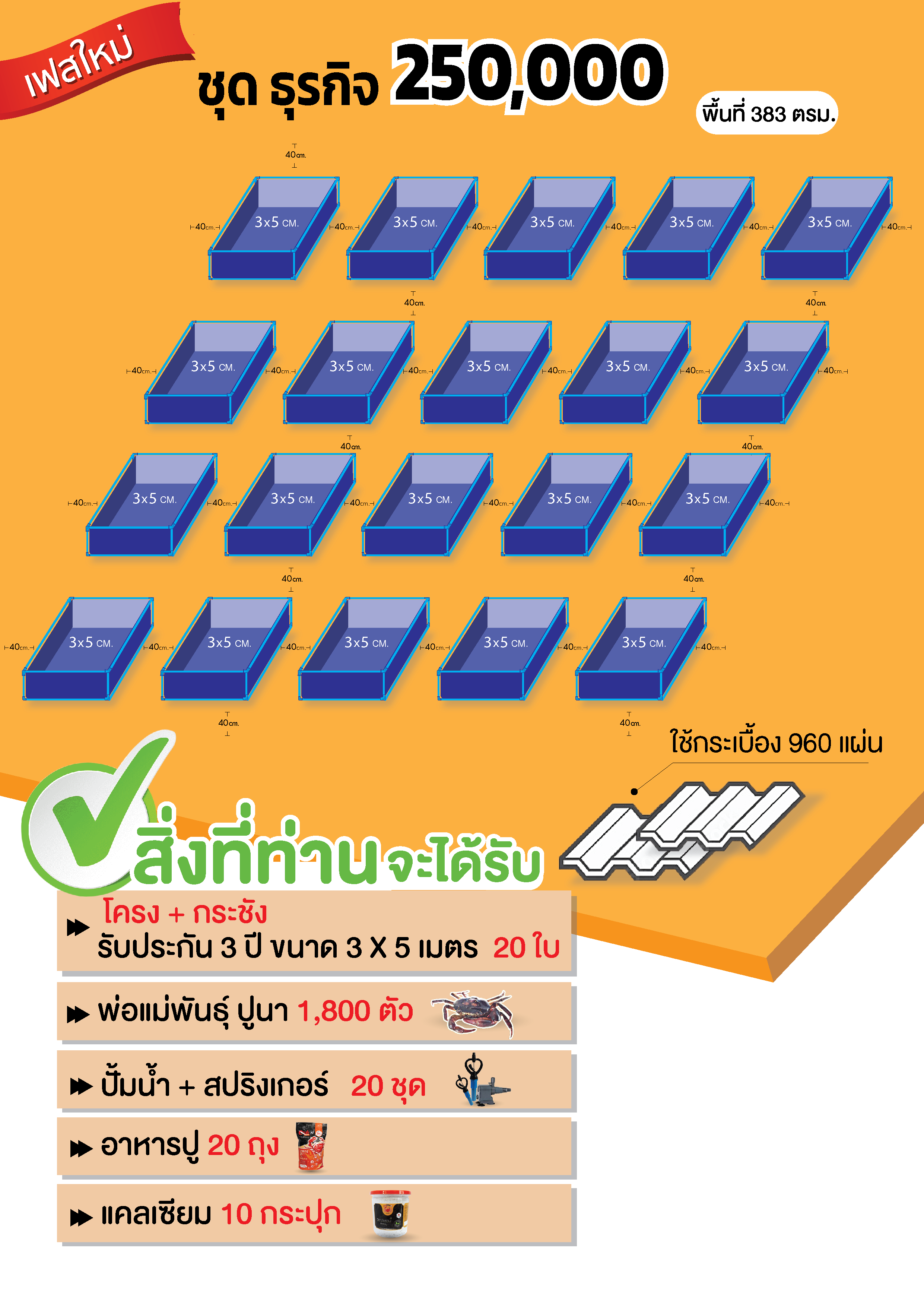 ชุดธุรกิจ 250,000 บาท สำหรับสัญญาเฟสใหม่ 250/Kg