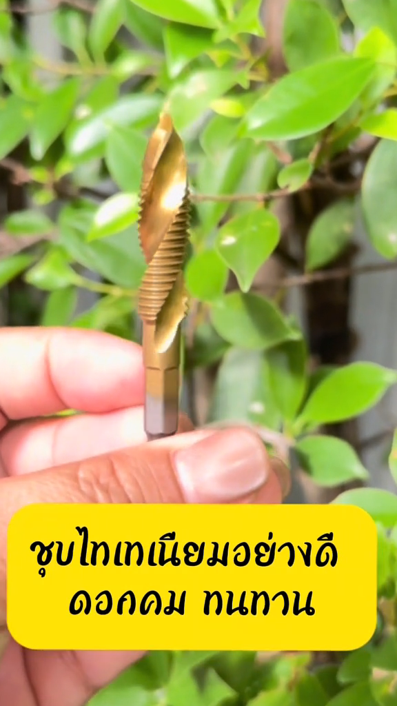 ชุดดอกสว่านต๊าปเกลียว HSS ( สีทอง ) ขนาด 6 ตัวชุด