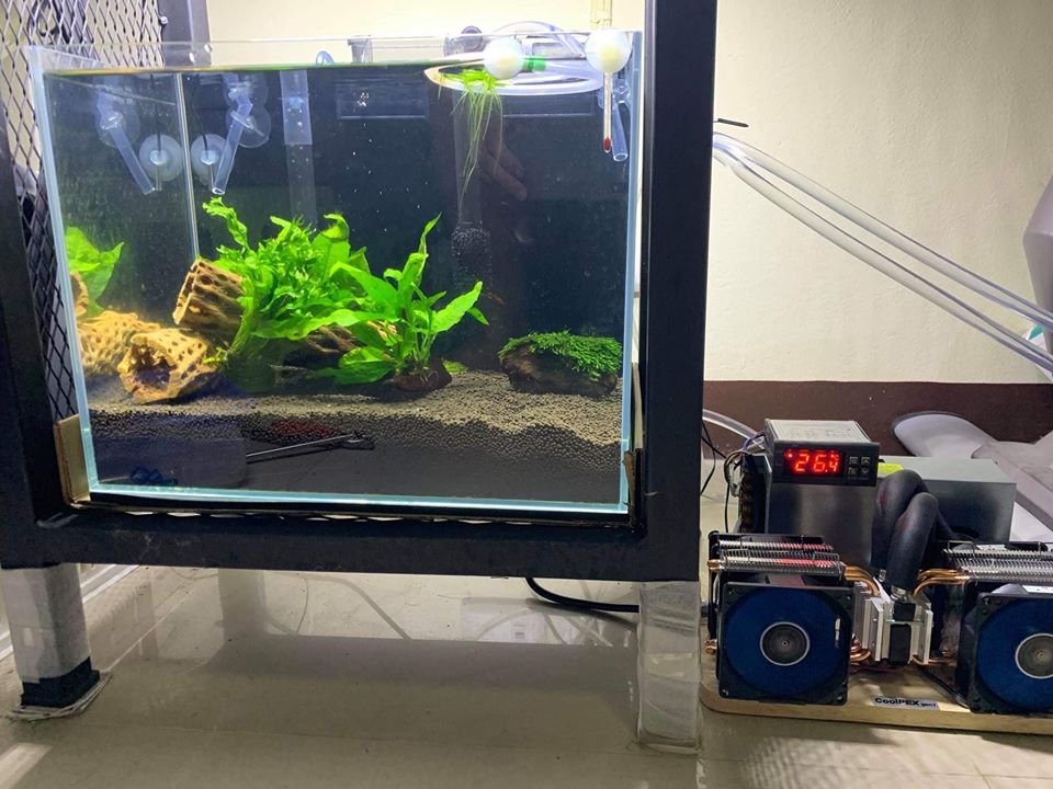 CoolPEX GEN 1 ชิลเลอร์ตู้ปลา 12 นิ้ว