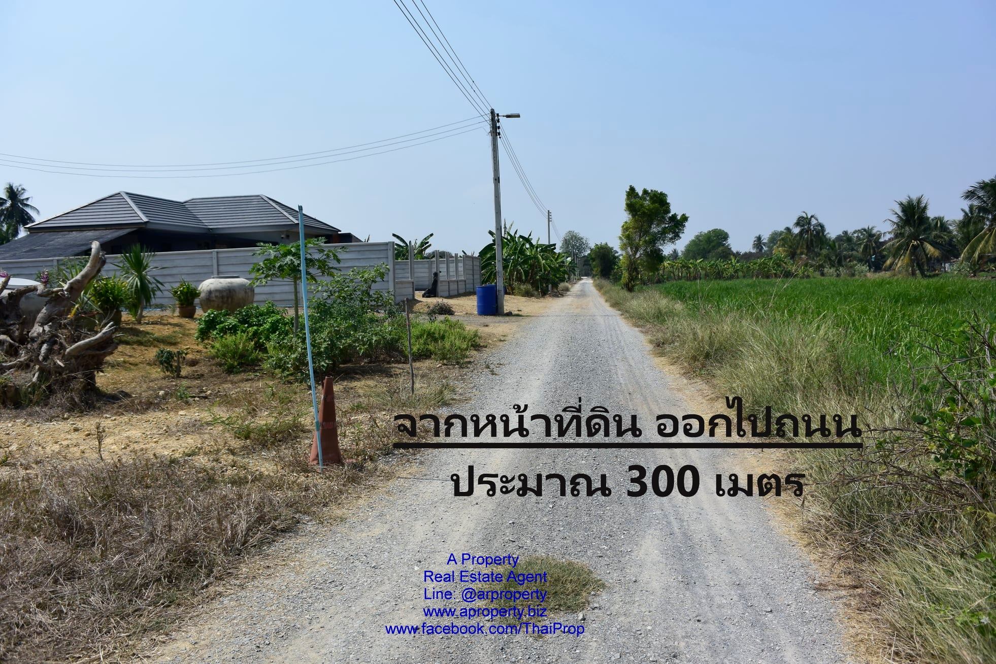 ขายที่ดินเปล่า เหมาะสร้างบ้าน ย่านวัดสำโรง อ.นครชัยศรี นครปฐม
