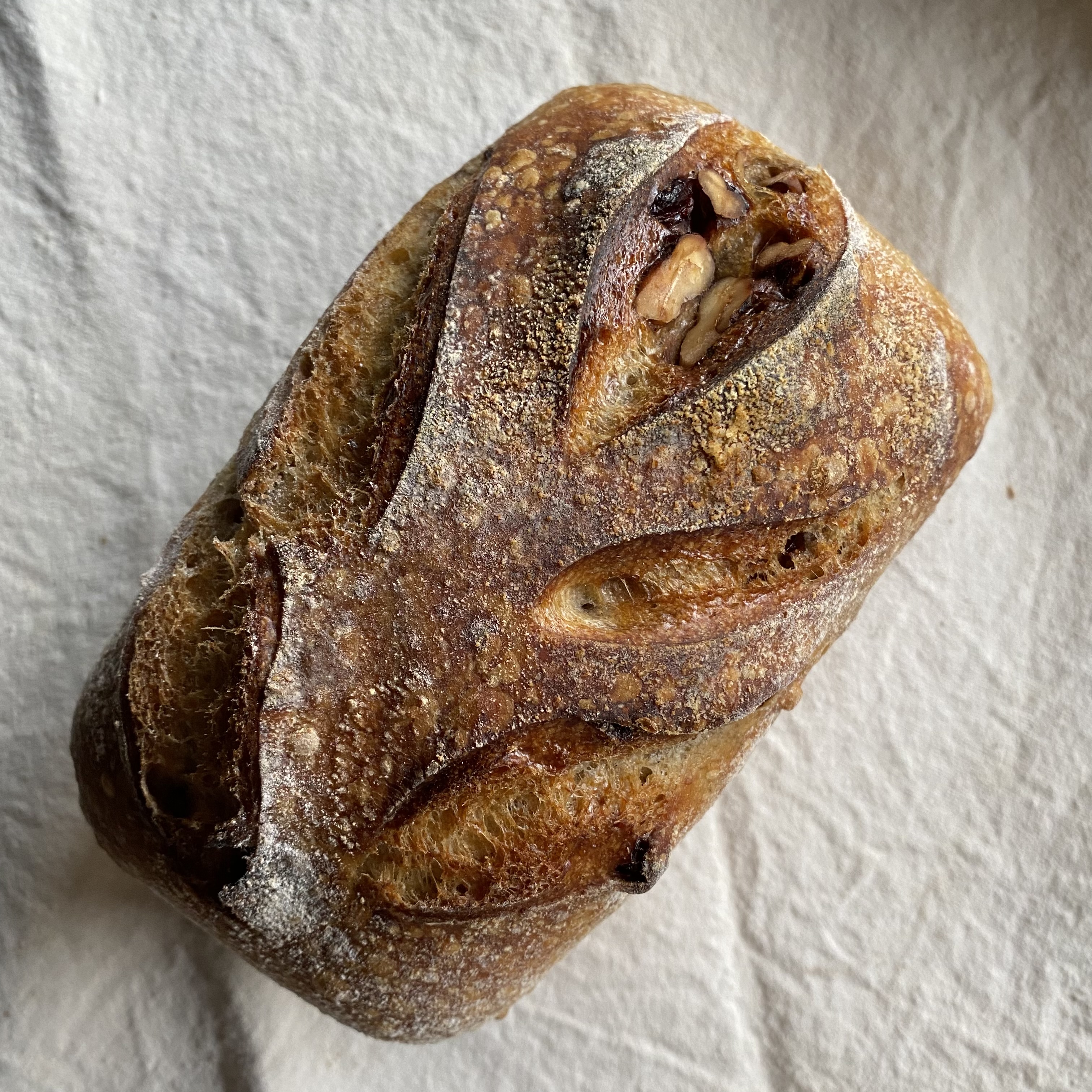 Ⓥ Walnut Cranberry Sourdough Tin (16% Whole Wheat, about 650g.)