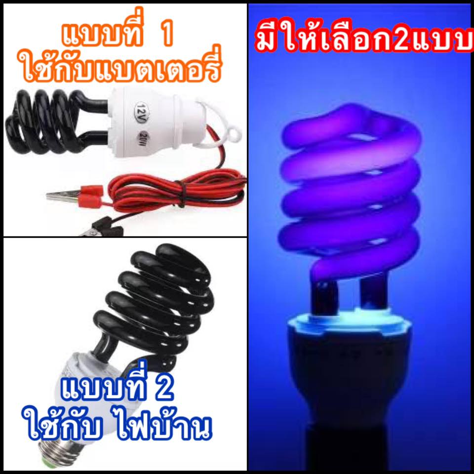 หลอดไฟแบล็คไลท์ ล่อแมลงแท้
