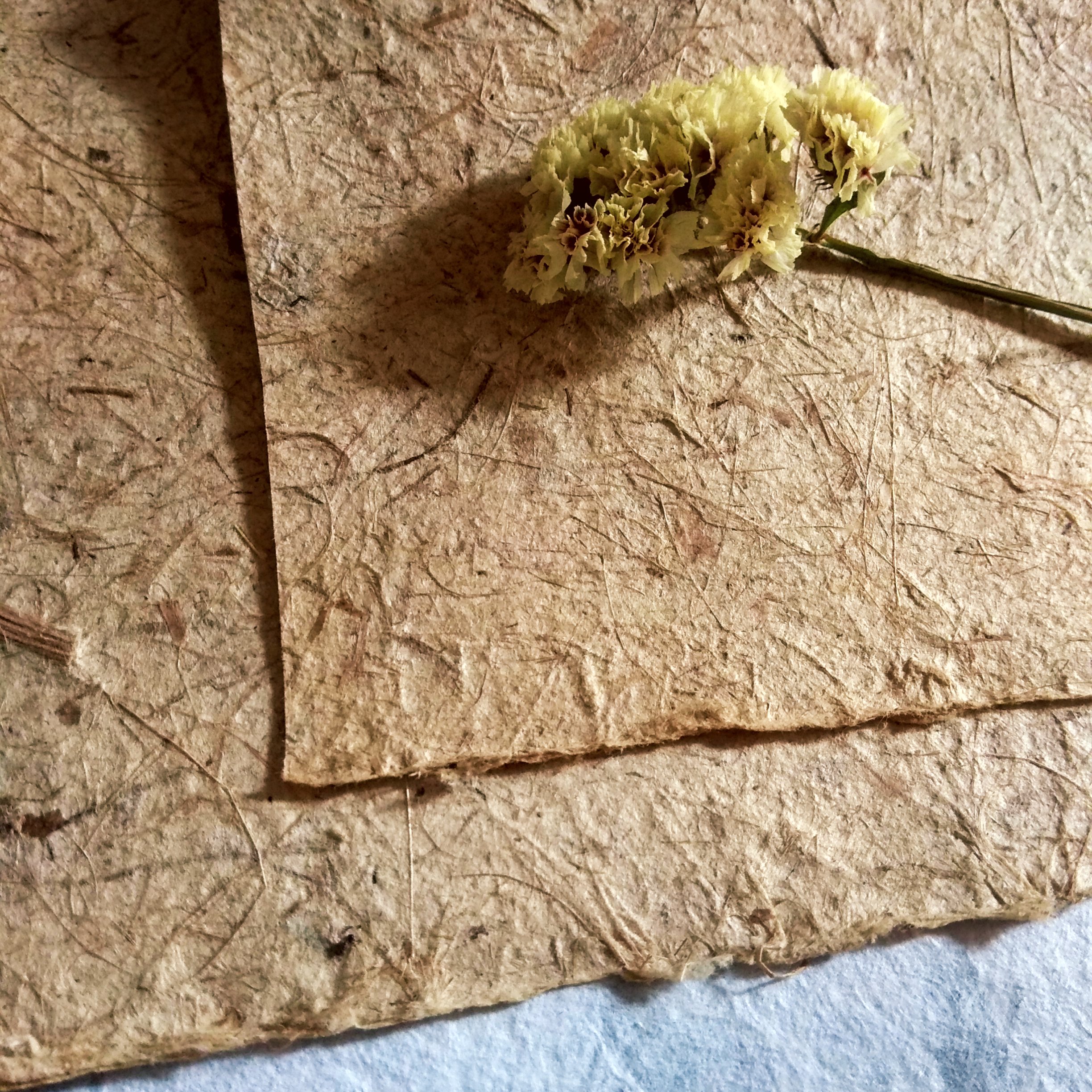 กระดาษใยกล้วย เหลือง สำเนา