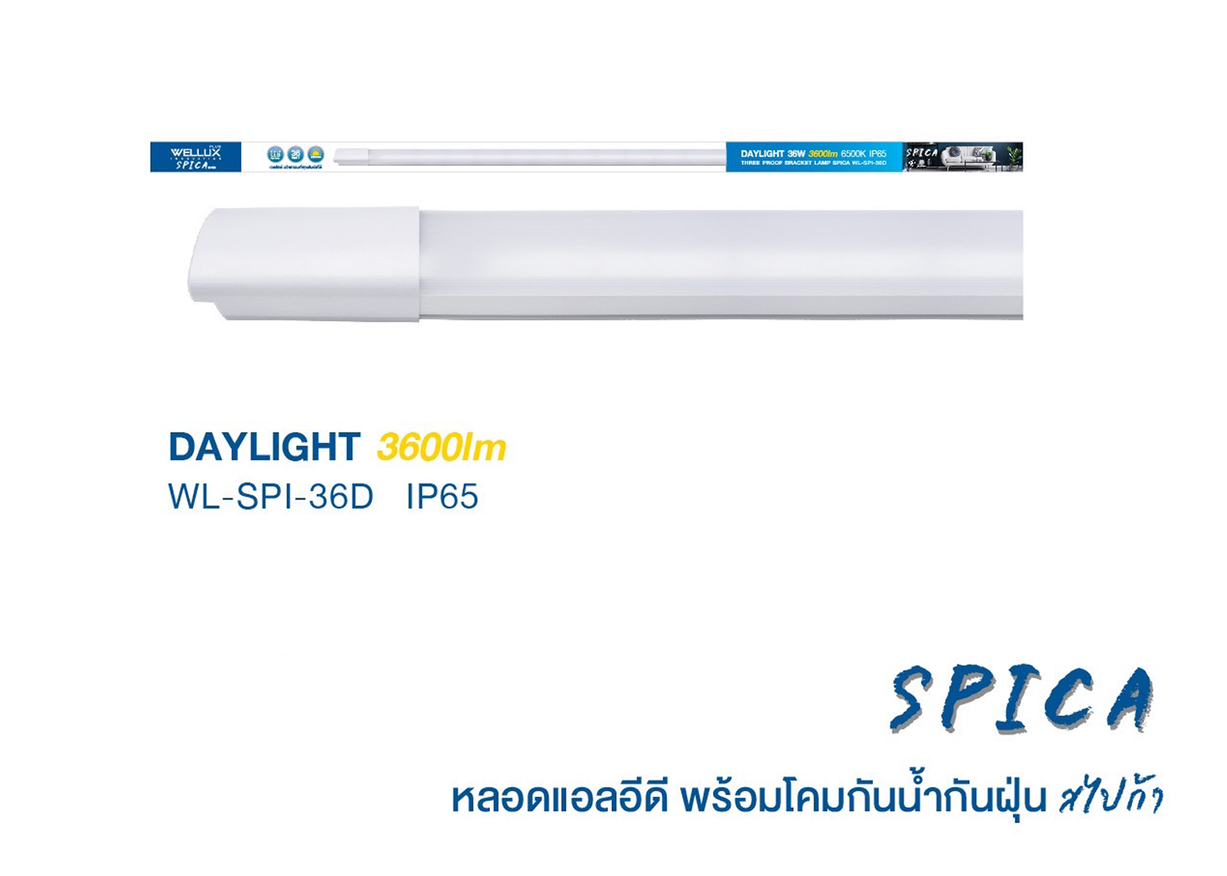 โคมกันน้ำกันฝุ่น SPICA 36W/6500K 3600lm WELLUX
