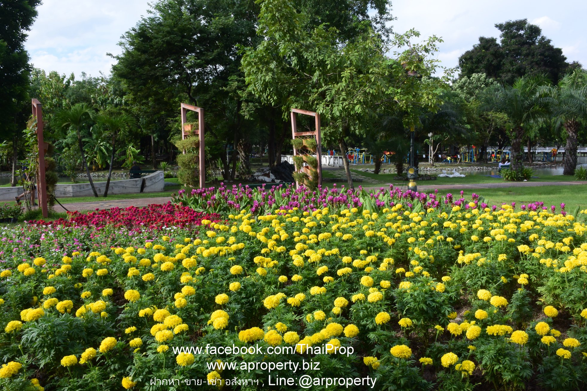 ให้เช่า คอนโด 3 ห้องนอน ขนาด 118 ต.ร.ม ติดรถไฟฟ้าศูนย์ราชการนนทร