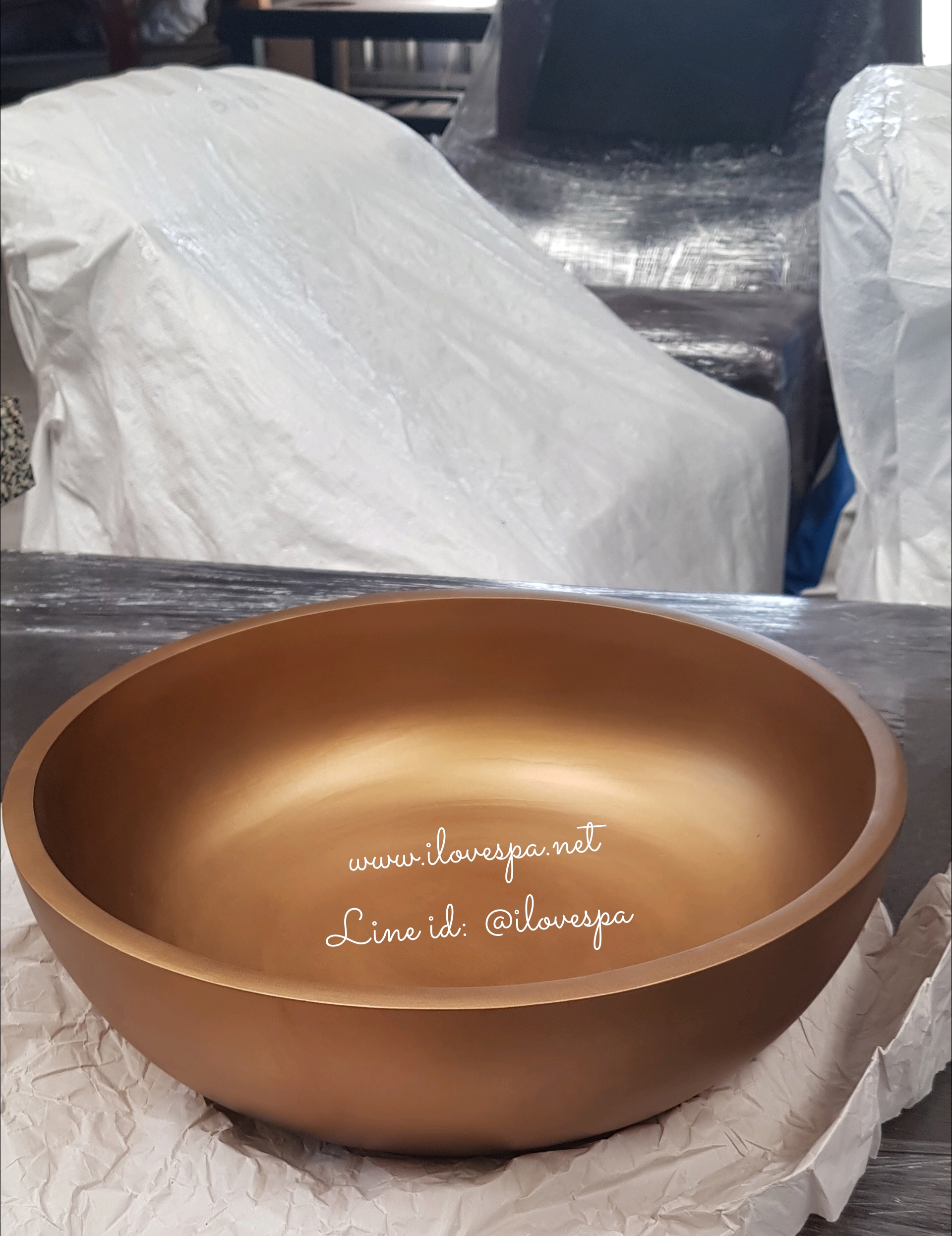 อ่างสปาเท้า