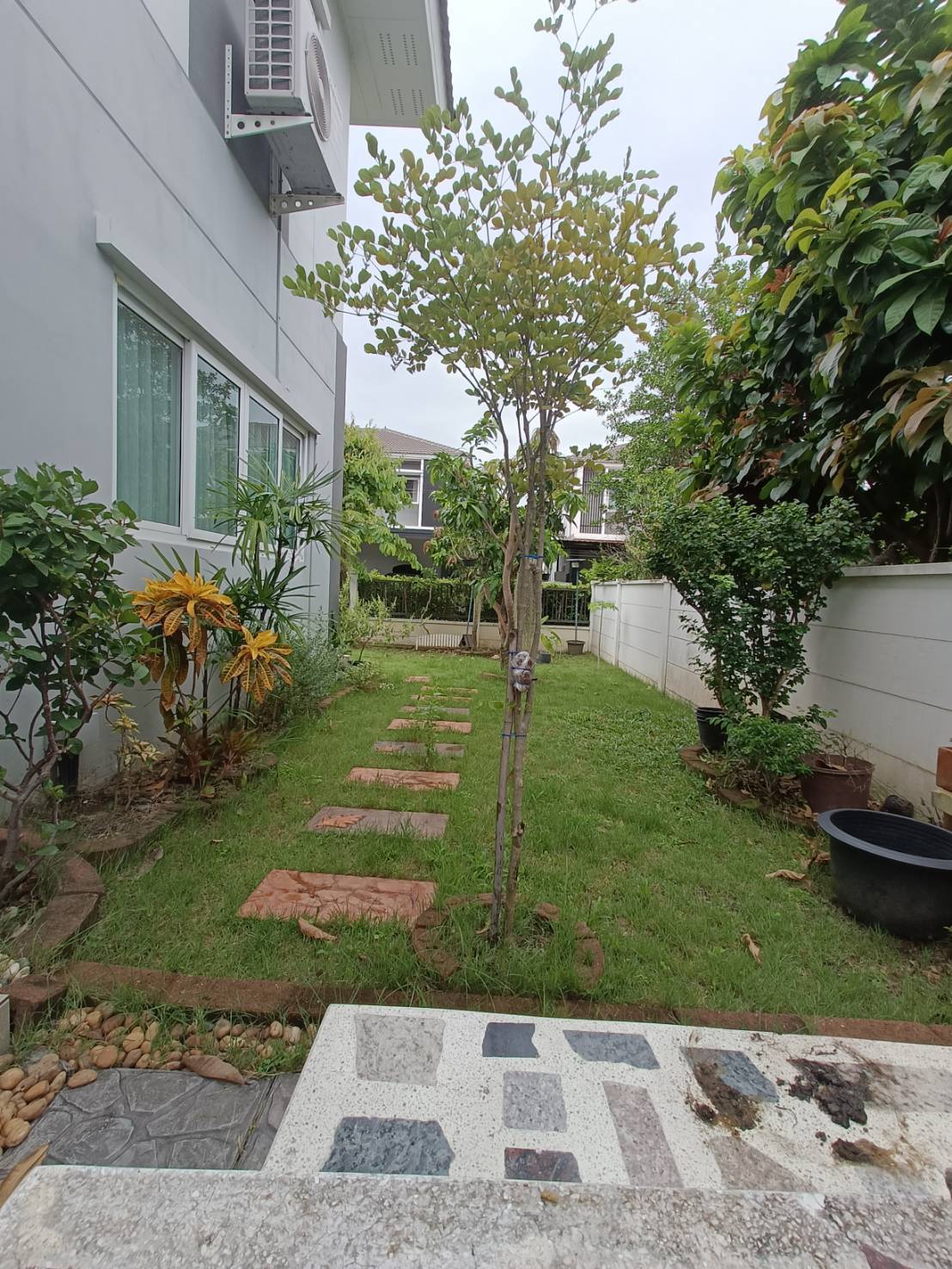 ให้เช่า บ้านเดี่ยว ย่าน วัดลาดปลาดุด ( ไม่รับสัตว์เลี้ยง )