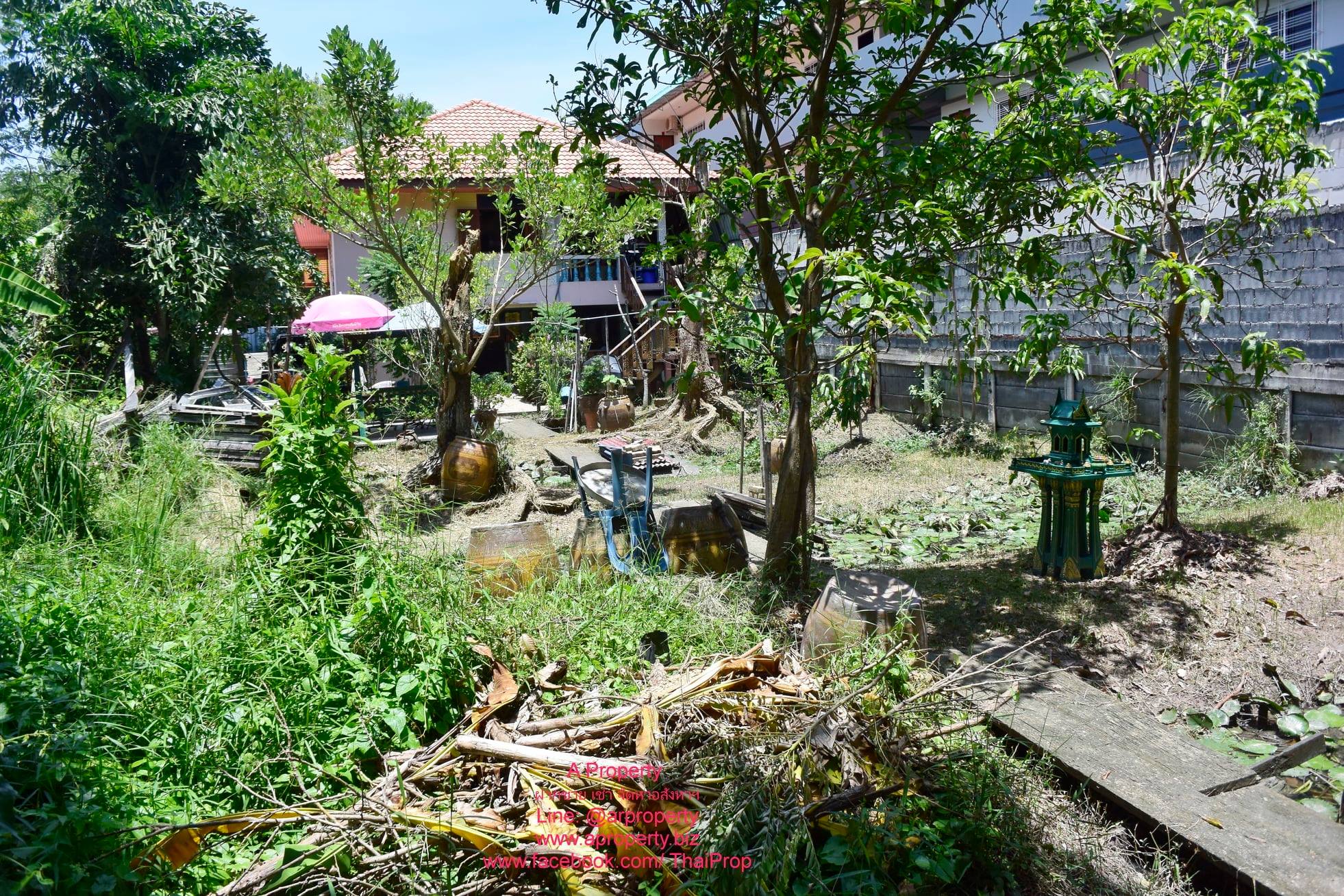 ขายบ้านเดี่ยว บรรยากาศสวน ต่ำกว่าราคาประเมิน