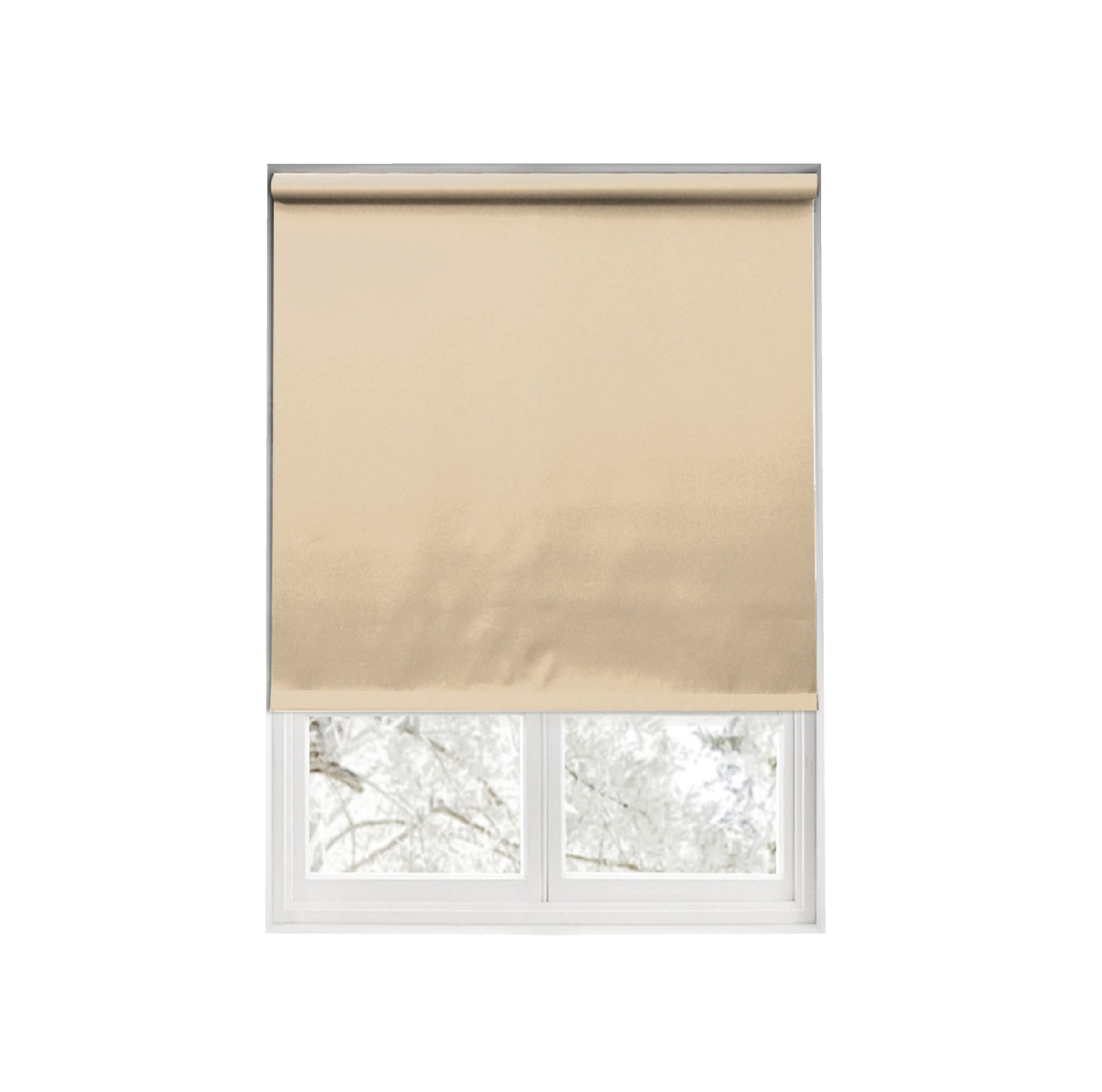 DAVINCI ม่านม้วนกรองแสง BC-001D-T22 ขนาด 120x210 ซม. สีเบจ