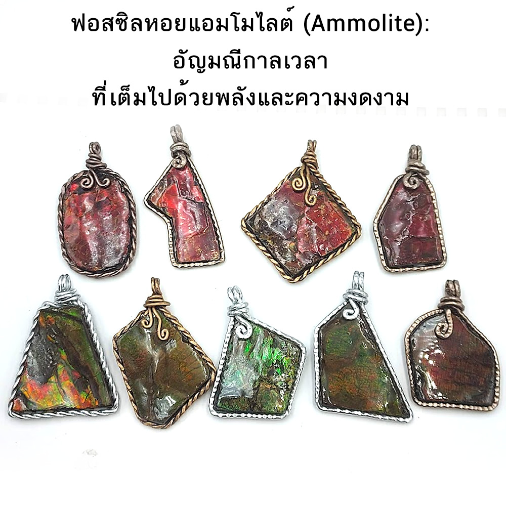 จี้แอมโมไลต์ (Ammolite) อัญมณีโลกล้านปีสุดหายาก สัญลักษณ์แห่งพลังชีวิตดึงดูดโชคลาภและความมั่งคั่ง