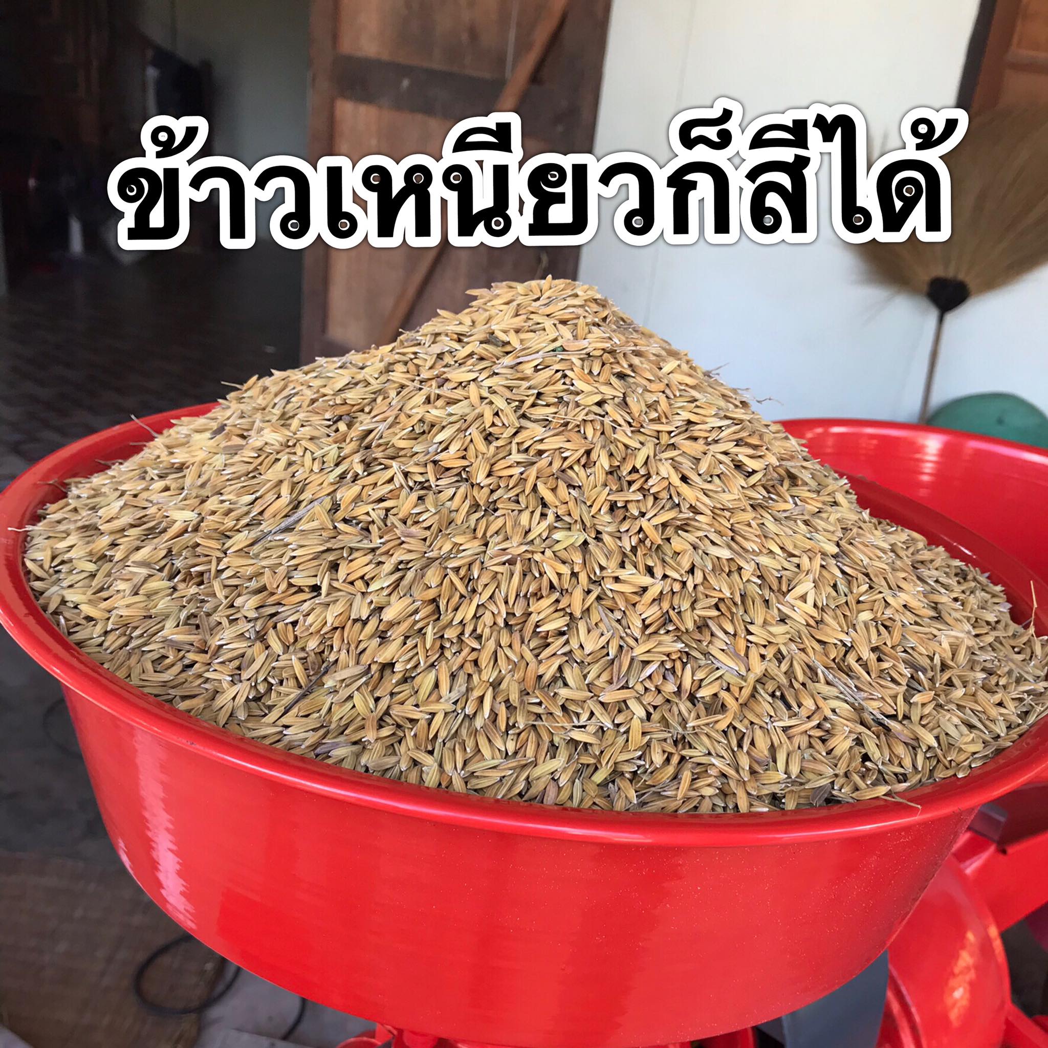 เครื่องสีข้าว มี2ขนาด 1ระบบ 2ระบบ
