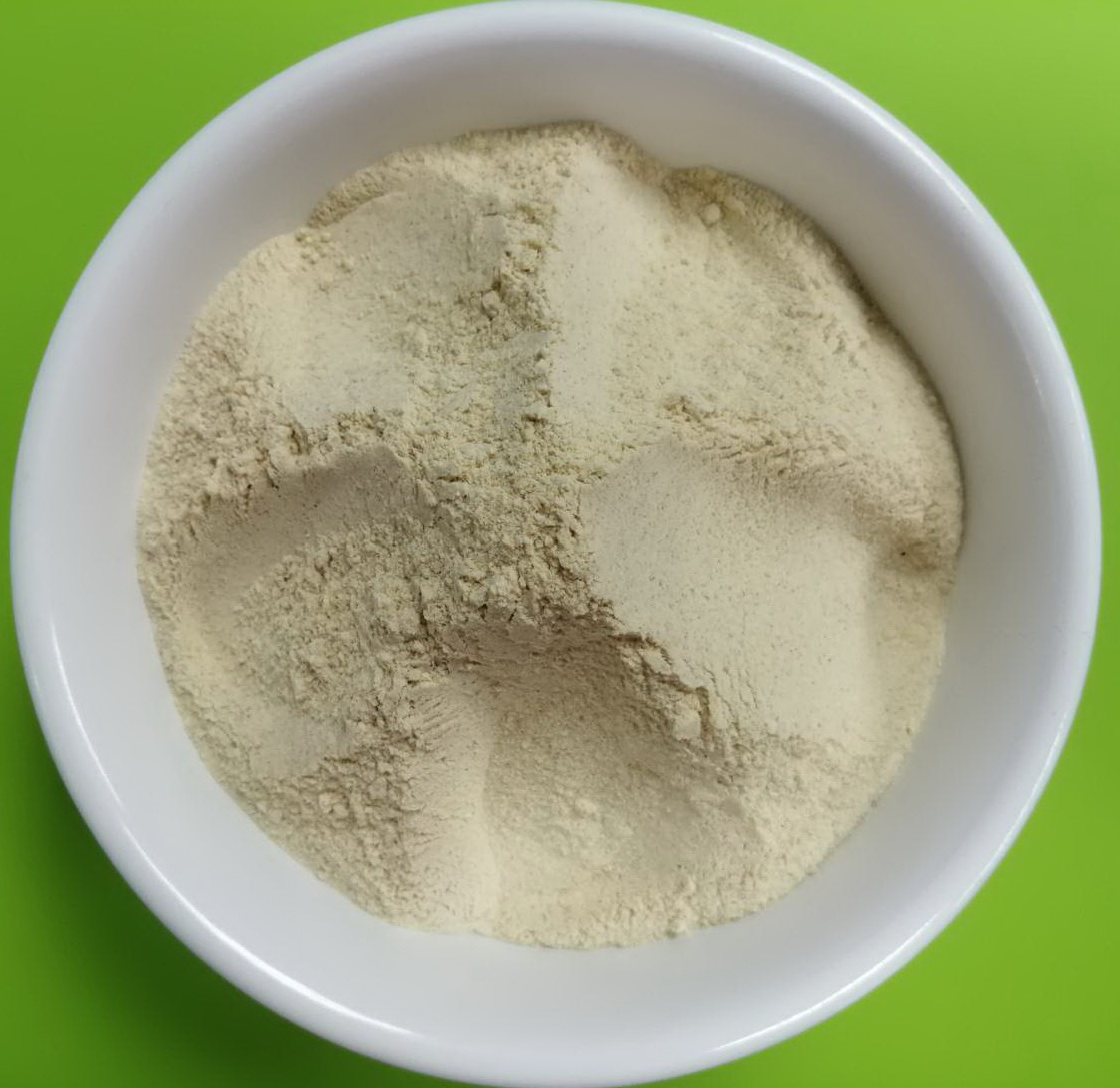 White Garlic Powder 100% (กระเทียมสีขาวผง 100%)