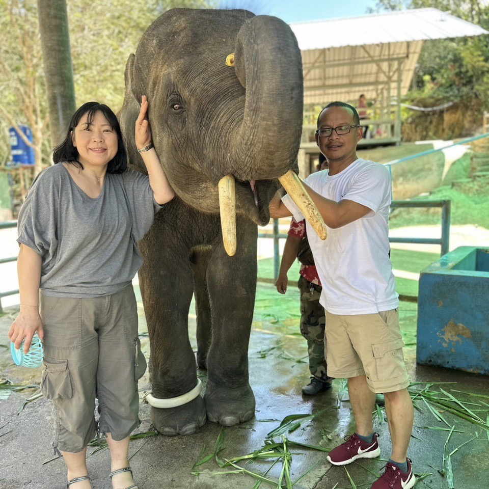 City Tour Program P2 : Sightseeing + Elephant Trekking