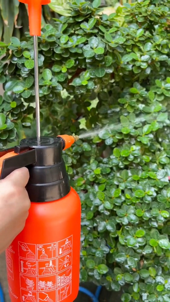 ถังพ่นยามือถือ ชนิดมือโยก Daewoo มีขนาด 1 ลิตร และ 2 ลิตร