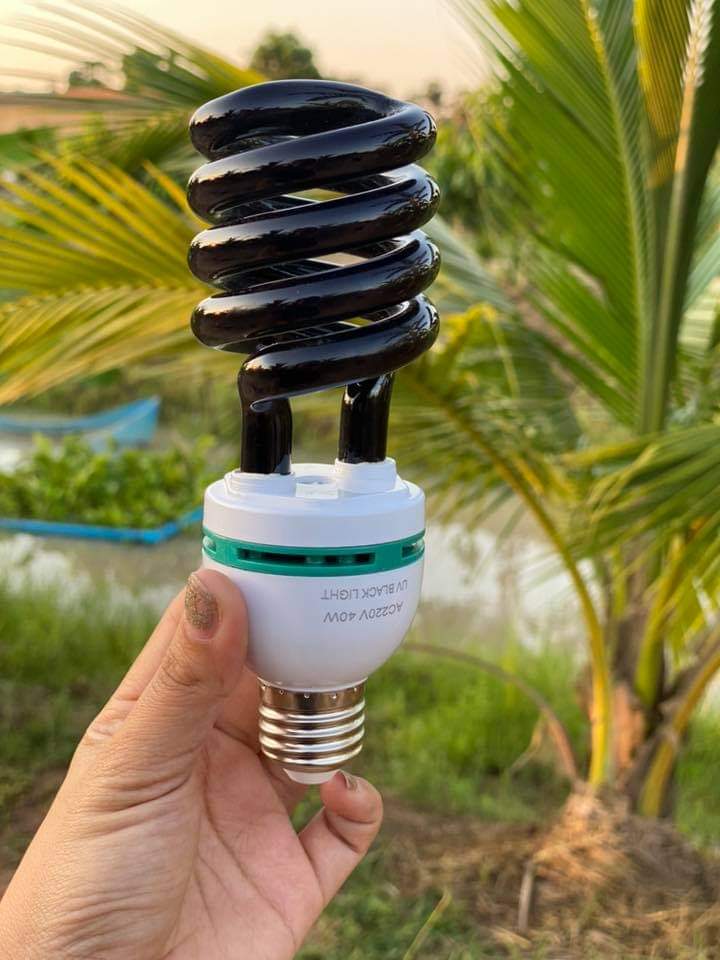 หลอดไฟแบล็คไลท์ มี 2 แบบ ให้เลือก