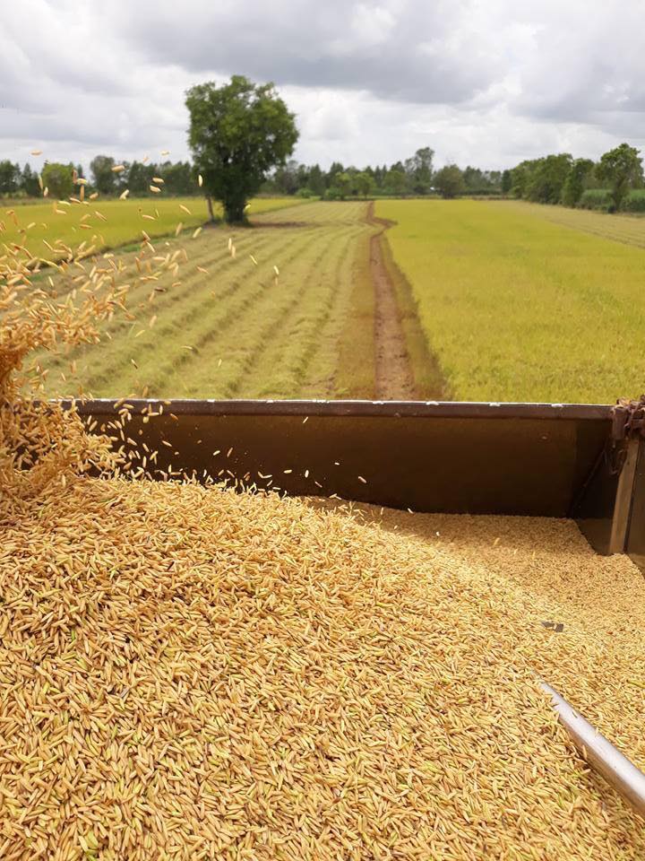 เครื่องสีข้าว