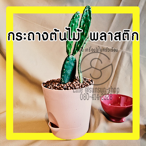 993.กระถางต้นไม้พลาสติก สีพาสเทล พร้อมถาดรองน้ำ ปากกว้าง 14 ซม. สูง 13ซม. สีชมพู สีฟ้า สีน้ำตาล