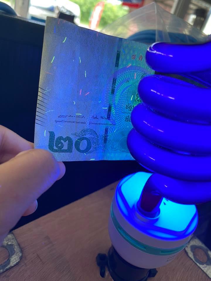 หลอดไฟ ล่อแมลง ต่อกับไฟบ้าน 220V BLACKLIGHT UVA