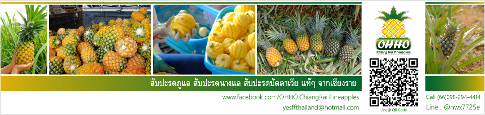 OHHO Chiang Rai Pineapples