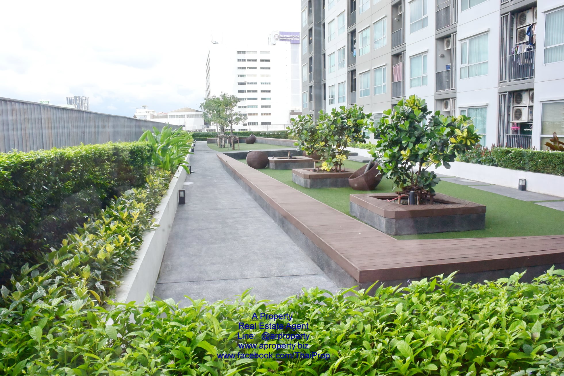 ฟิวส์ เซนเซ่ บางแค