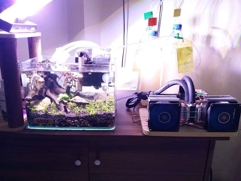 CoolPEX GEN 1 ชิลเลอร์ตู้ปลา 12 นิ้ว