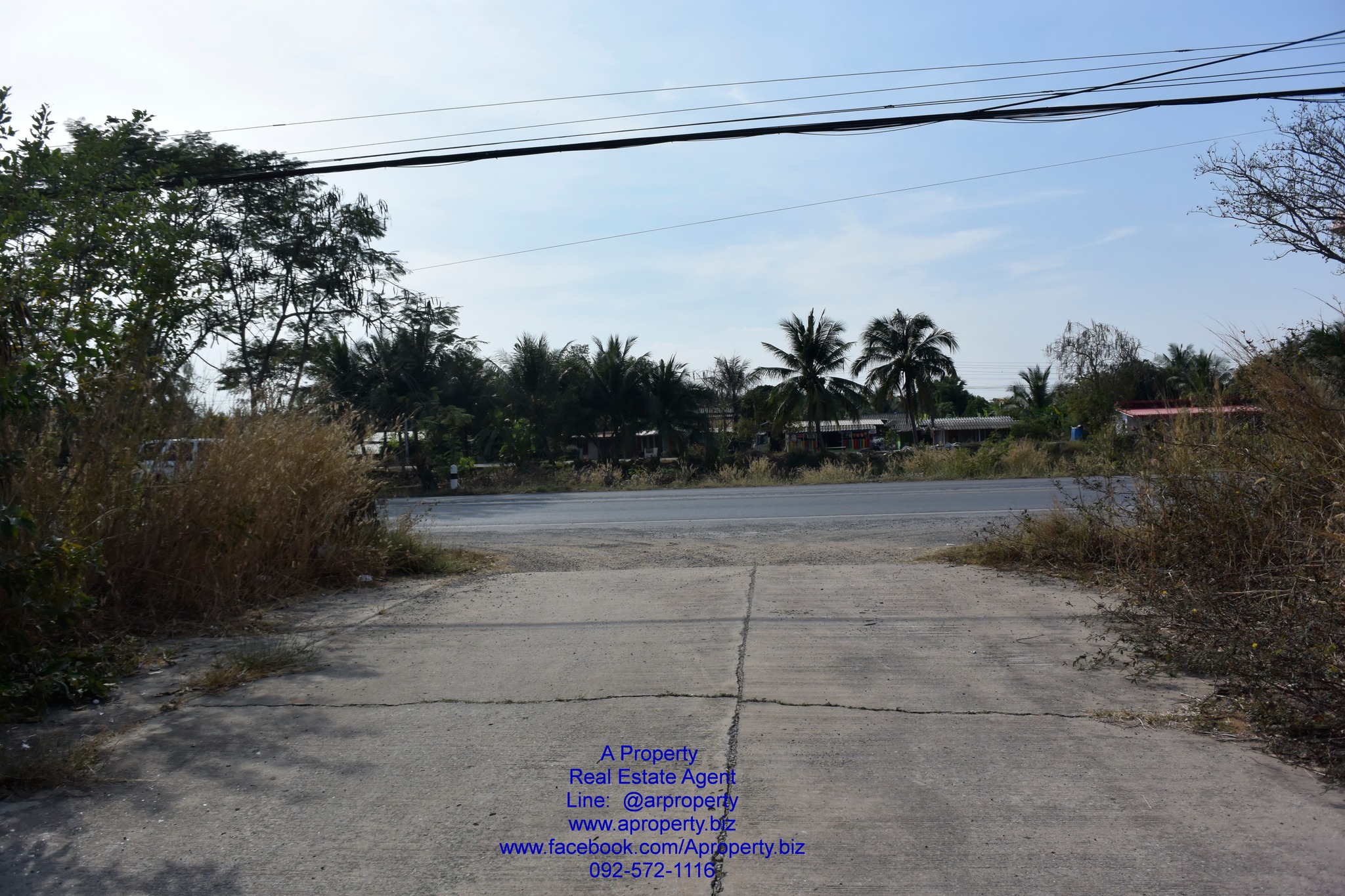 ขายที่ดินเปล่า ต. บึงกาสาม หนองเสือ ปทุม ถูกมาก เหมาะสร้างที่อยู่อาศัย